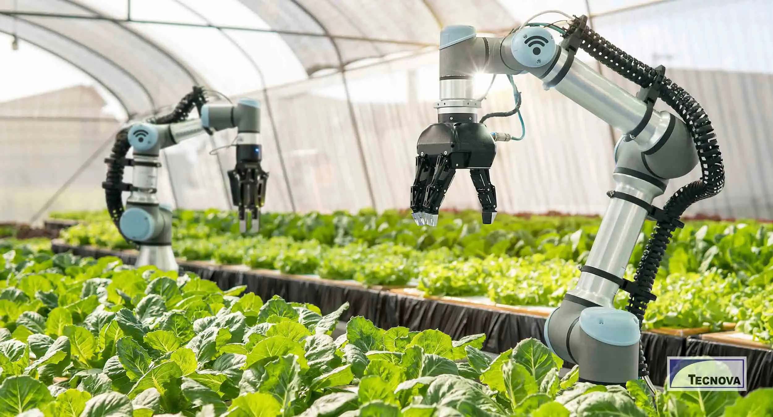 Agri-Tech Revolution Reshaping Indian Farming, Experts Highlight Gains in Productivity and Storage