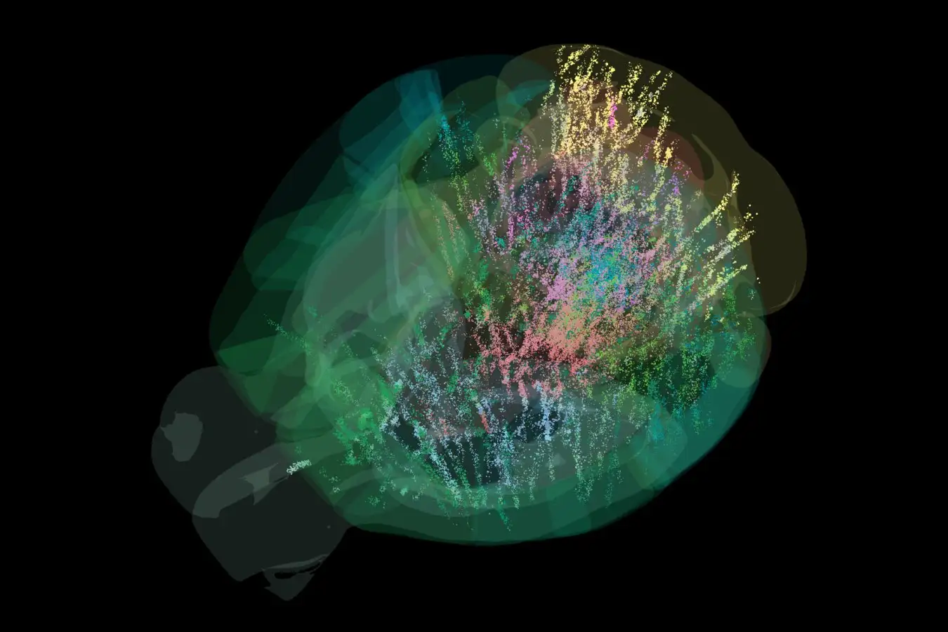Breakthrough Brain Map: Scientists Chart 95% of Mammalian Neural Activity
