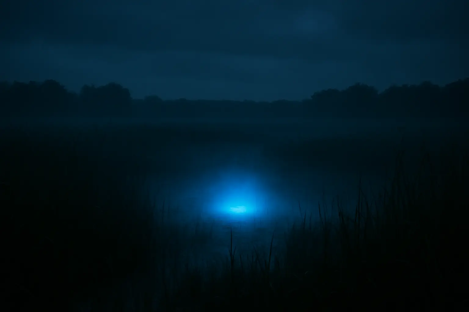 Scientists Trace Mysterious Blue Marsh Lights to Hidden ‘Microlightning’ Phenomenon