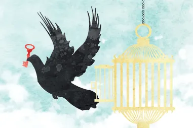 Shadow Libraries in 2026: Access Revolution or Copyright Crisis?