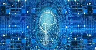 Silicon Valley Faces AI Job Panic as ‘Stop Hiring Humans’ Debate Gains Ground